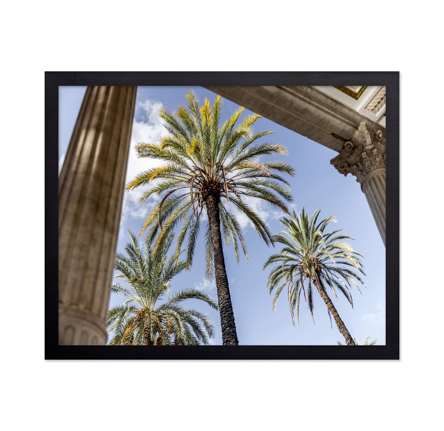 Sicilian Palm View