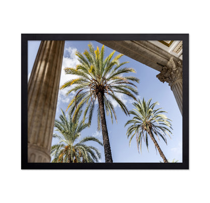 Sicilian Palm View