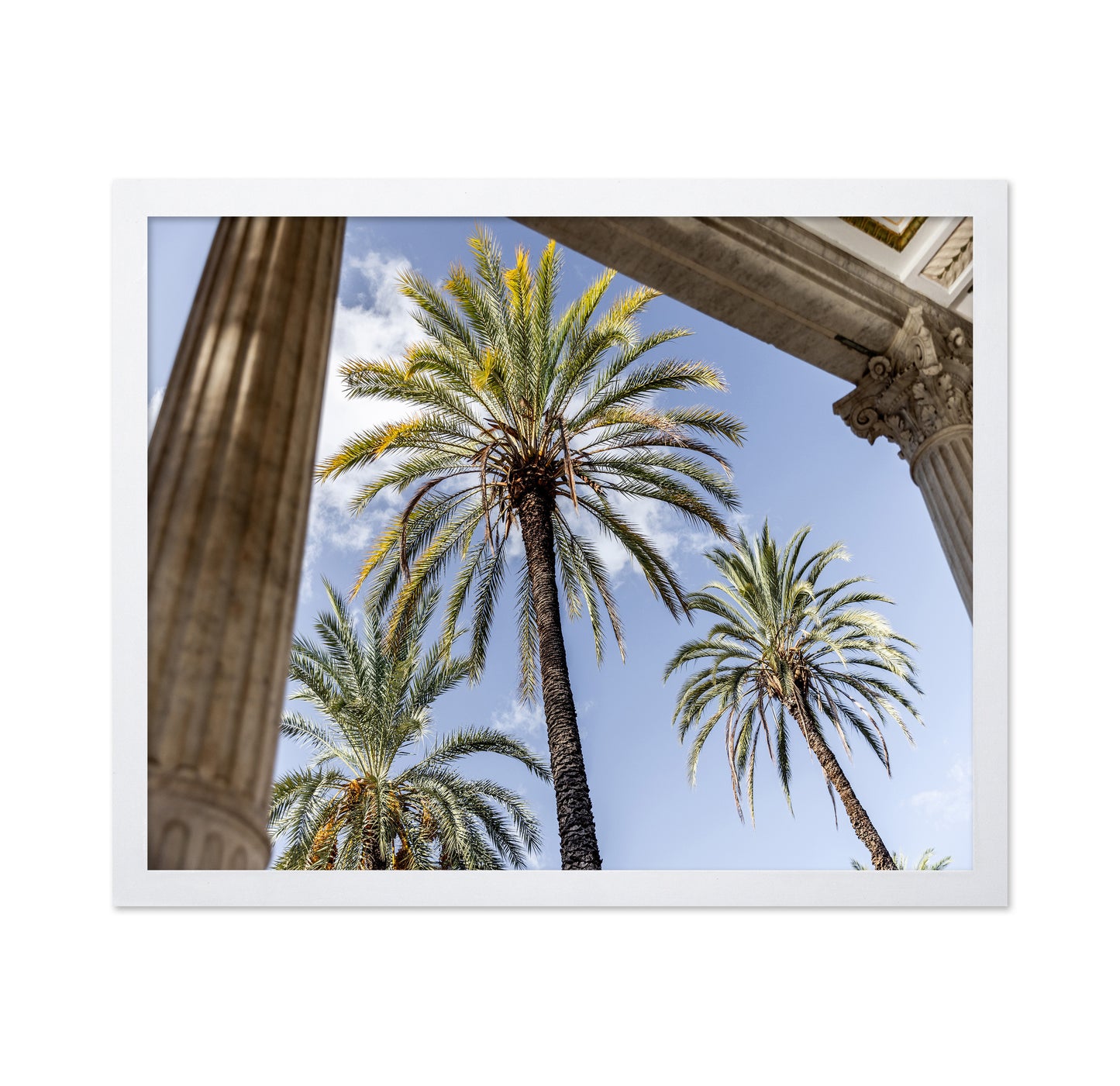 Sicilian Palm View