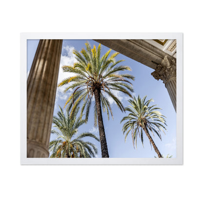 Sicilian Palm View