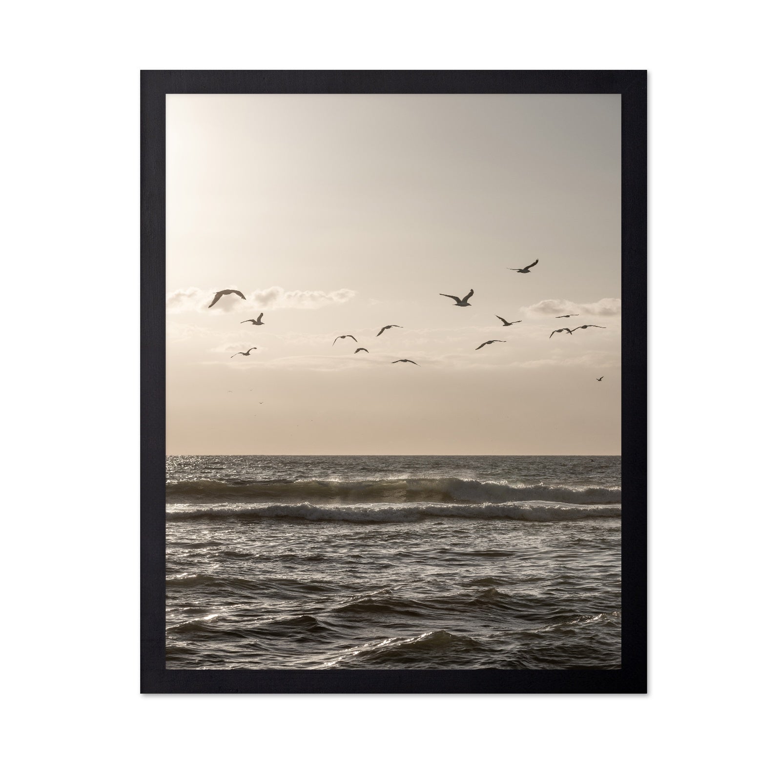 Seagulls Over Ocean