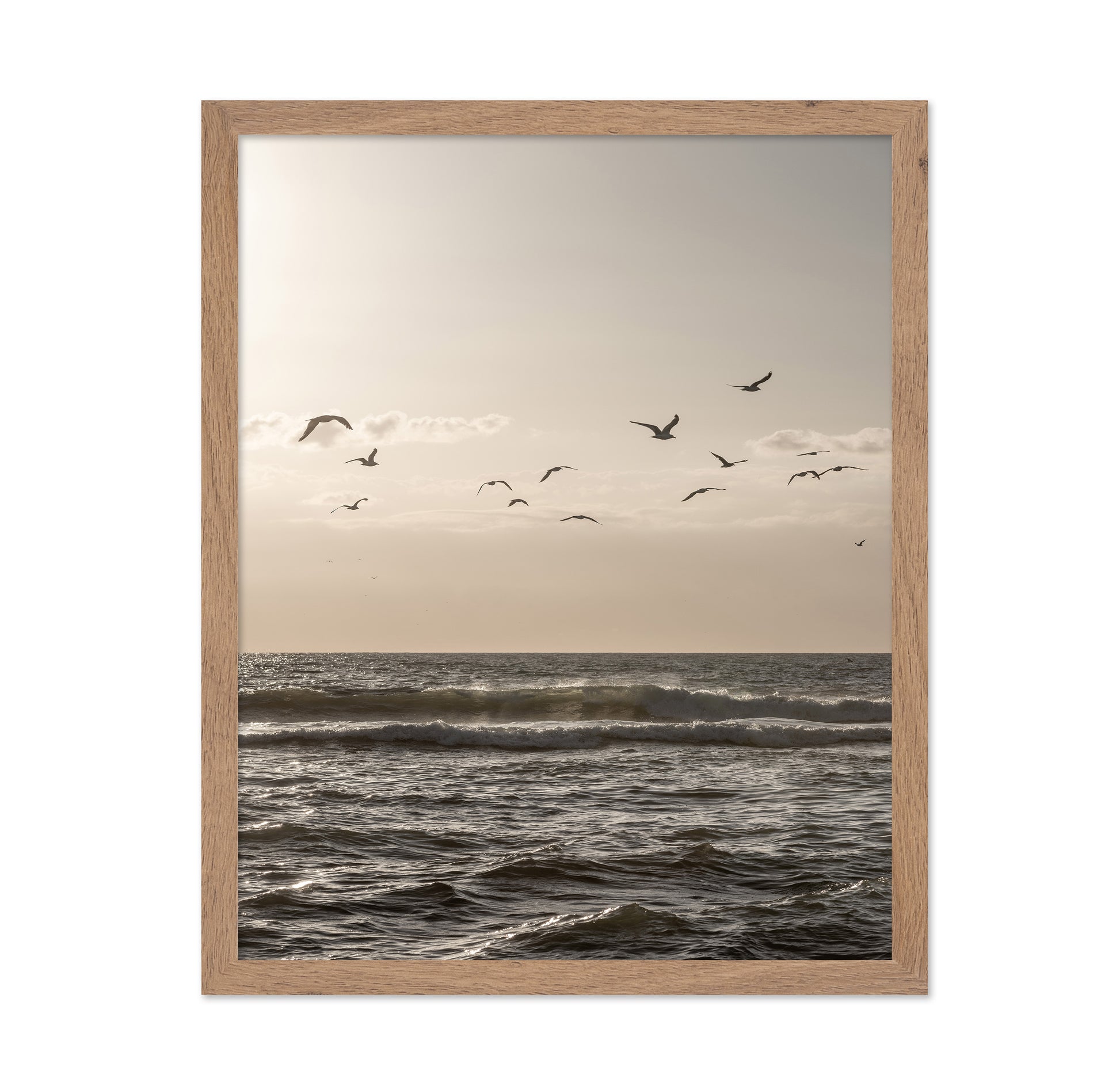 Seagulls Over Ocean