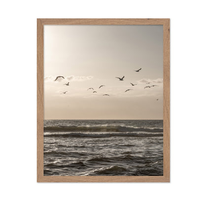 Seagulls Over Ocean
