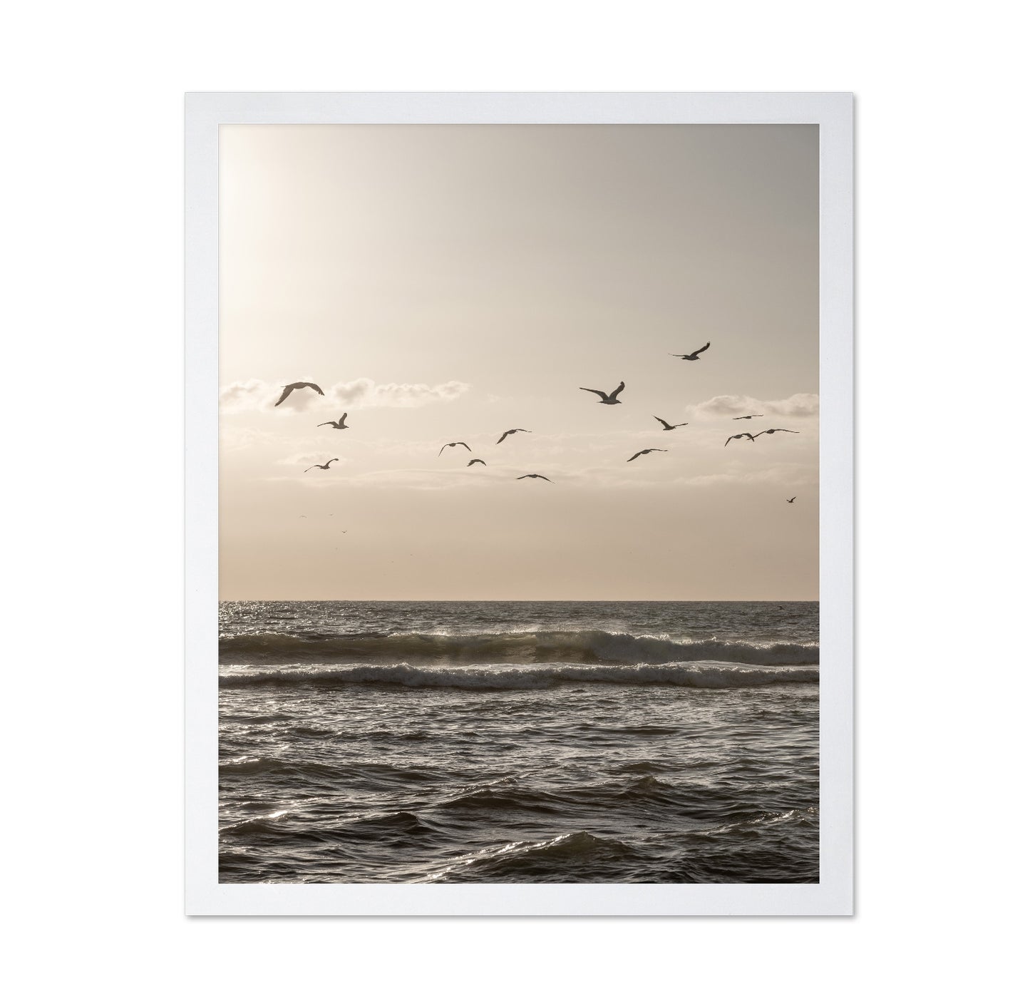 Seagulls Over Ocean
