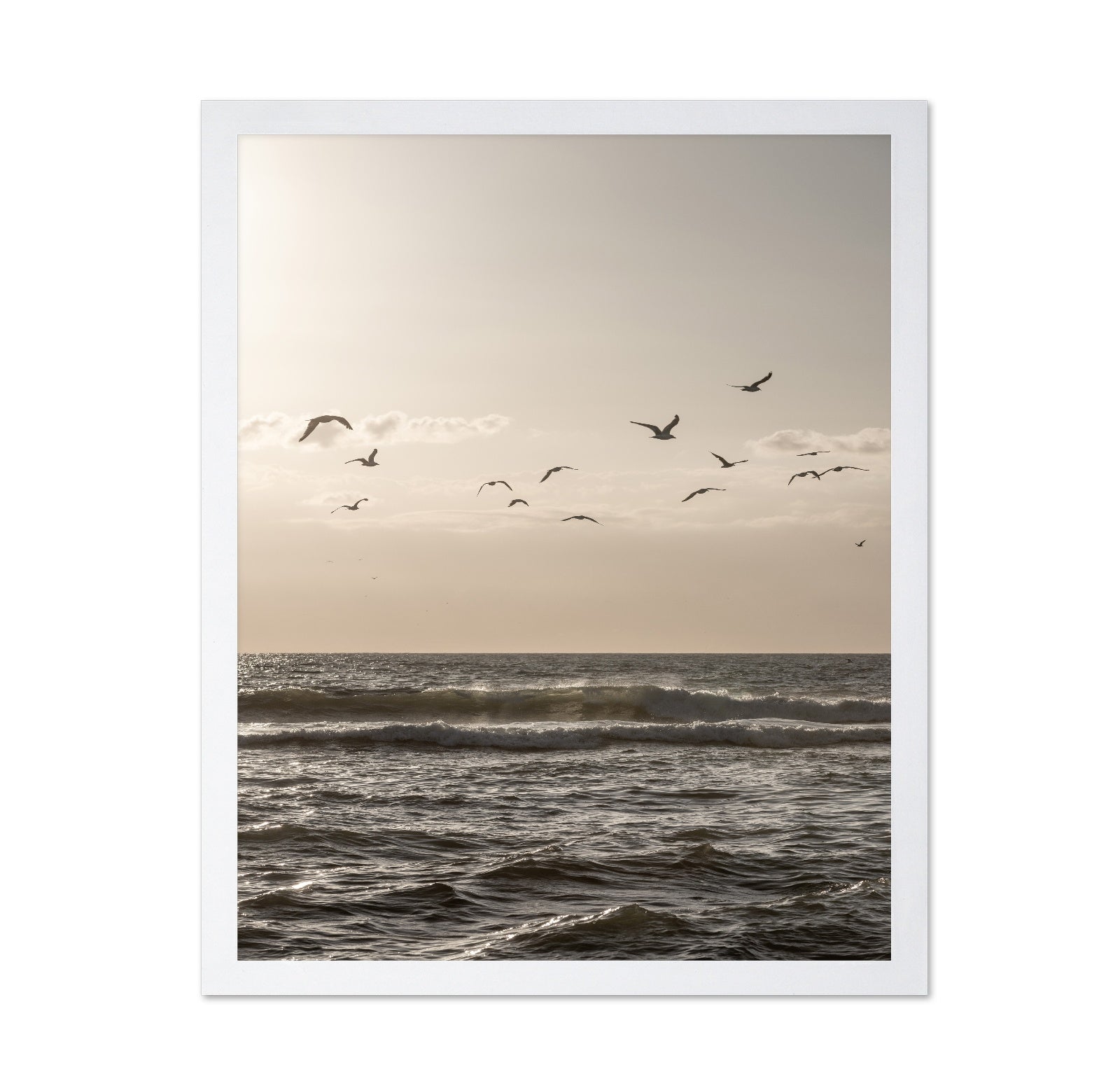 Seagulls Over Ocean