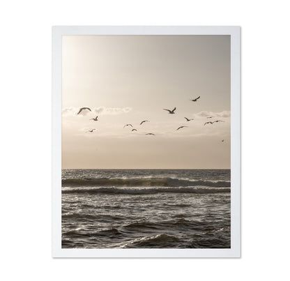 Seagulls Over Ocean
