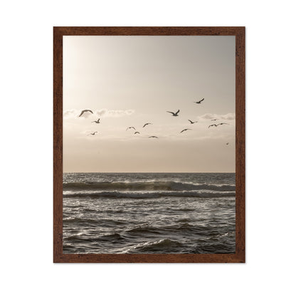 Seagulls Over Ocean