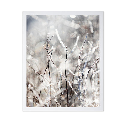 Frosted Winter Branches No1