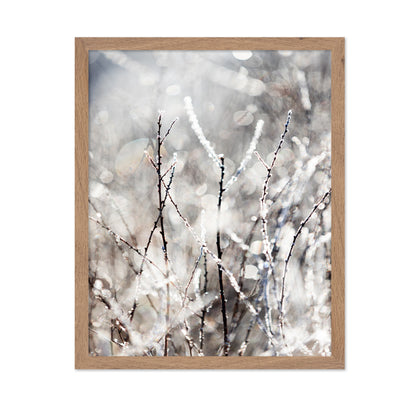 Frosted Winter Branches No1