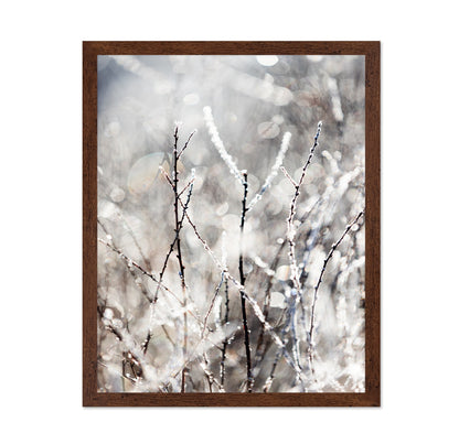 Frosted Winter Branches No1