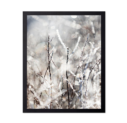 Frosted Winter Branches No1