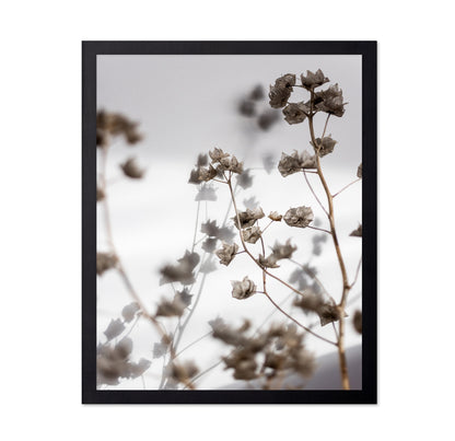 Dried Floral Silhouettes No1