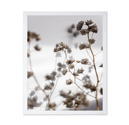 Dried Floral Silhouettes No1