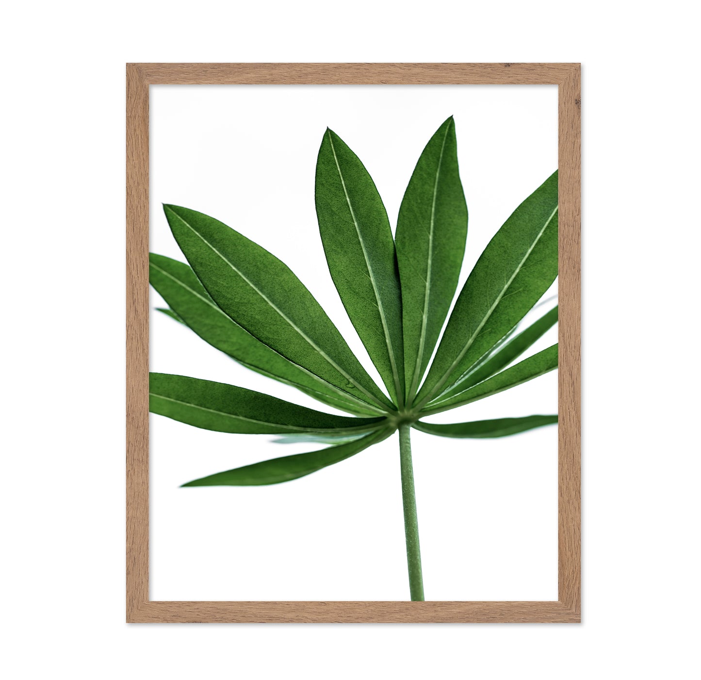 Minimal Green Leaf