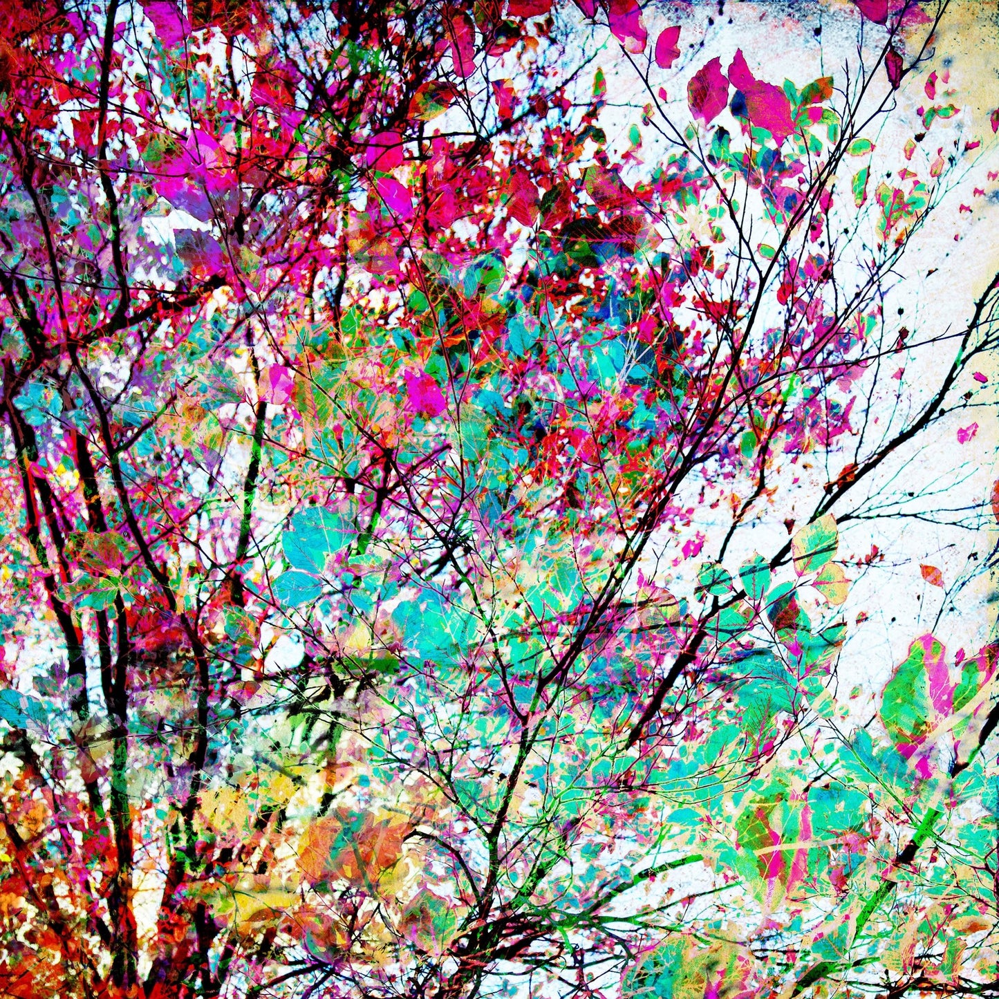 Colorful Autumn Abstract