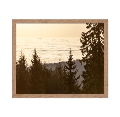 Golden Forest Sunset