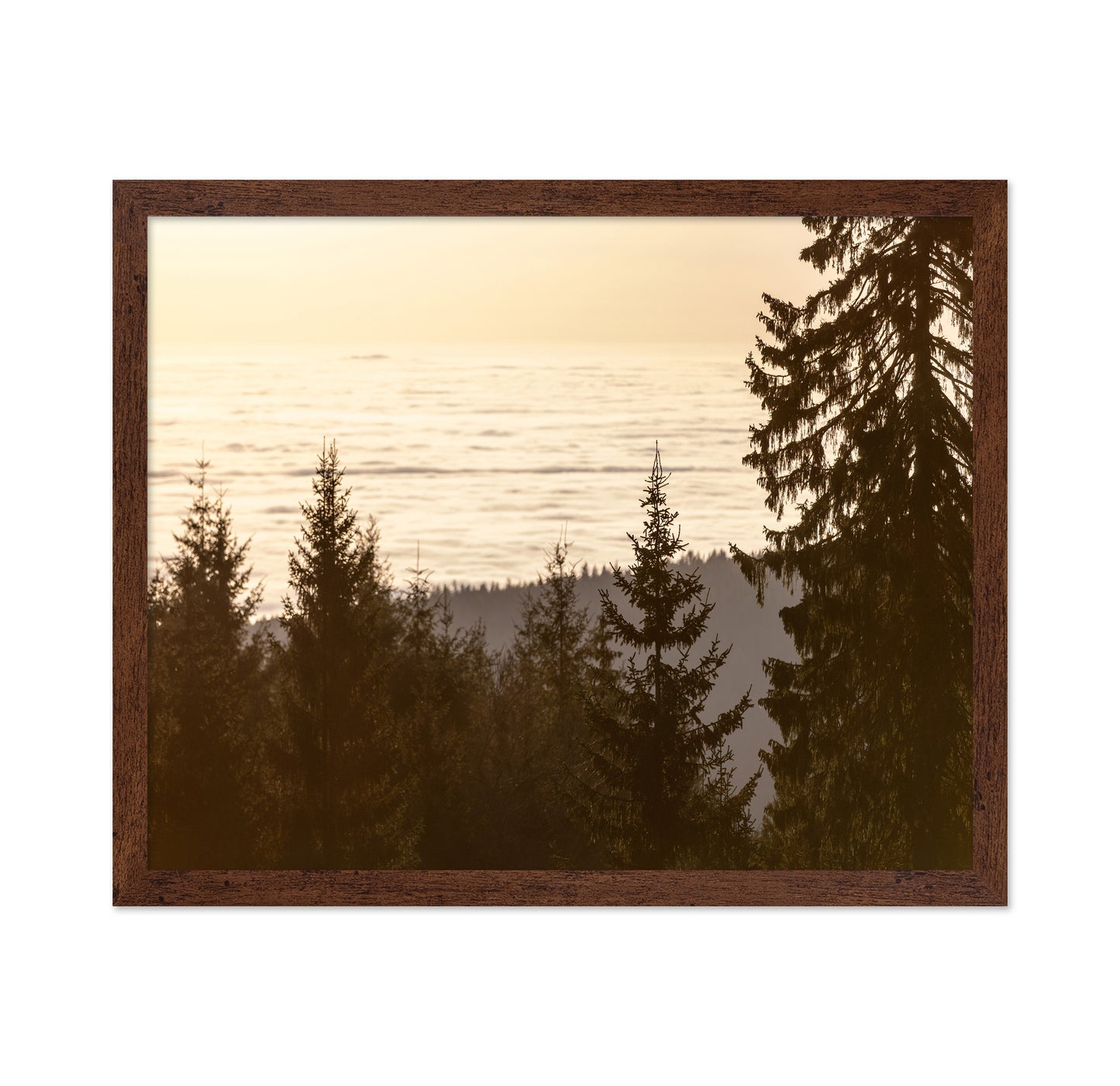 Golden Forest Sunset