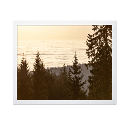 Golden Forest Sunset