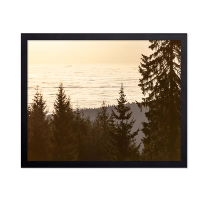 Golden Forest Sunset
