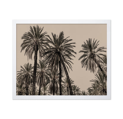 Vintage Palm Grove No1