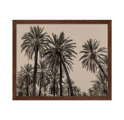 Vintage Palm Grove No1