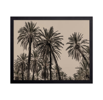Vintage Palm Grove No1