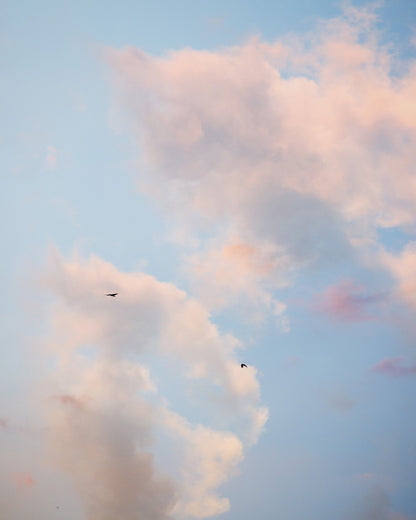Pastel Sky with Birds