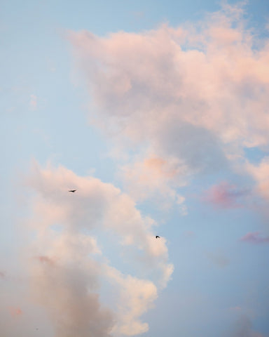 Pastel Sky with Birds