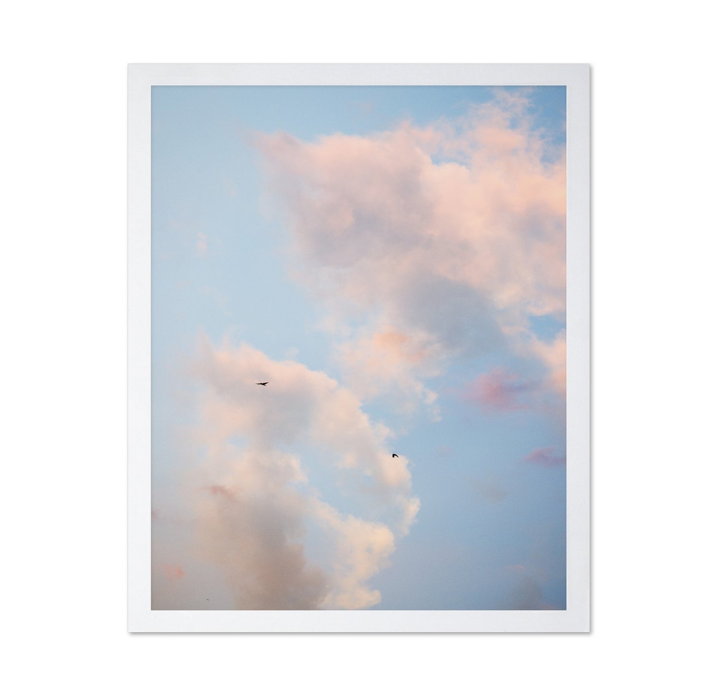 Pastel Sky with Birds