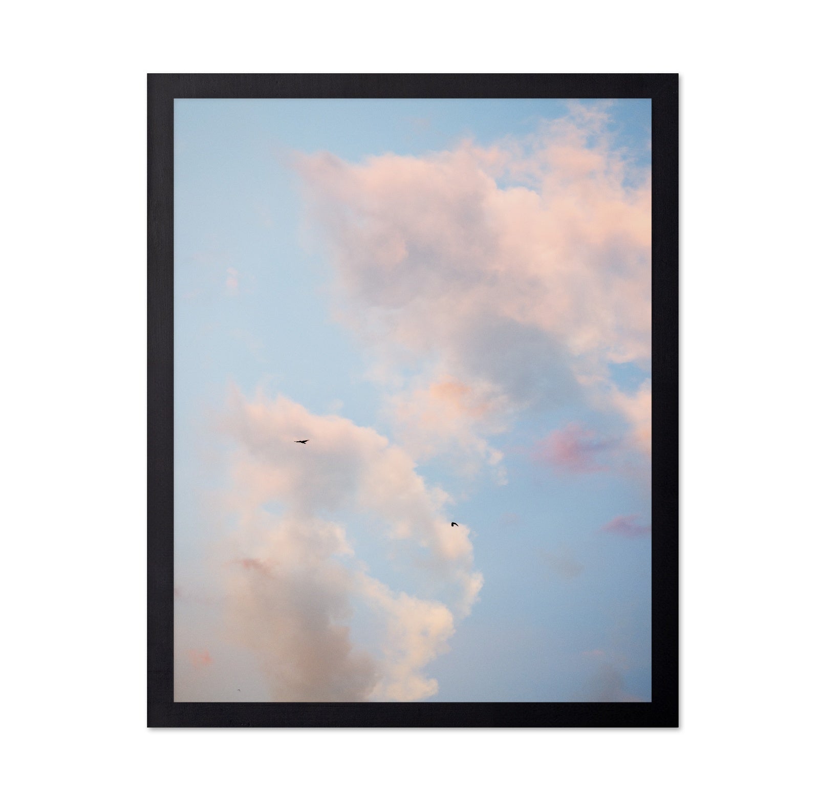 Pastel Sky with Birds