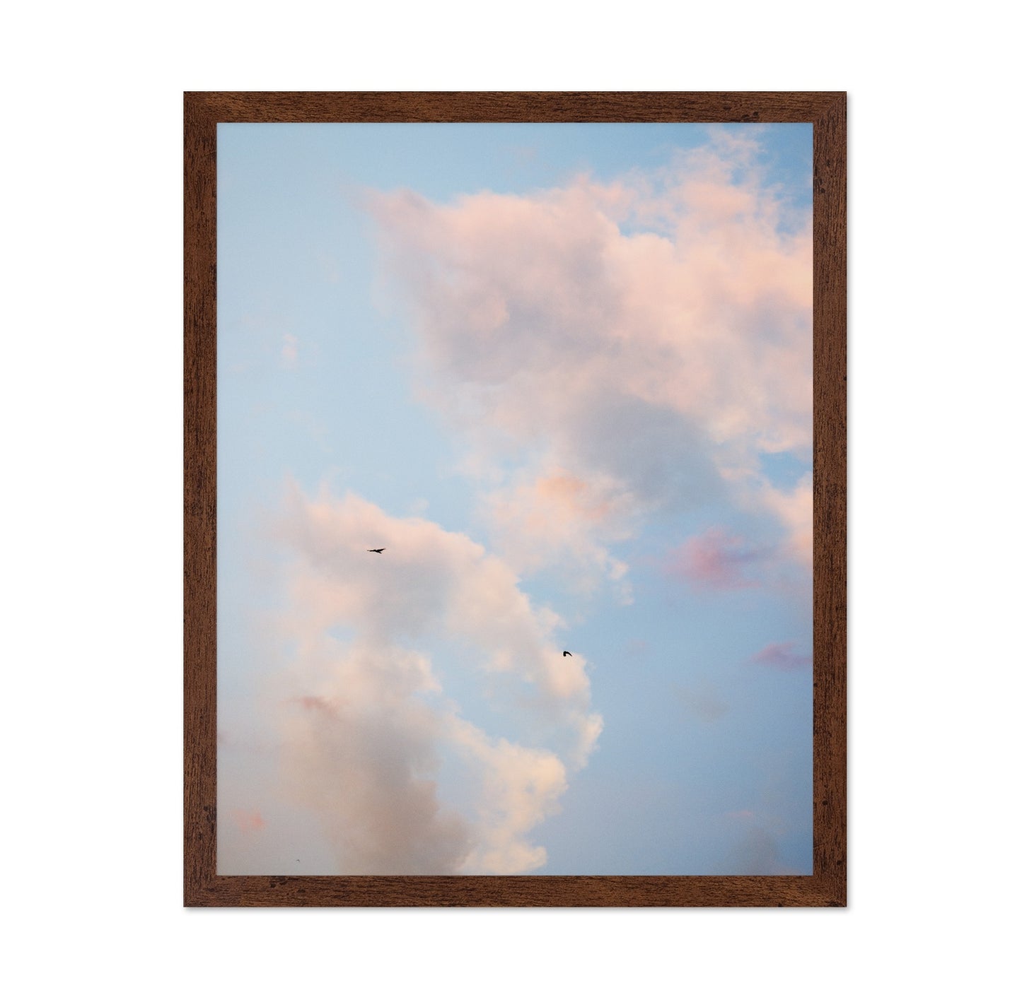 Pastel Sky with Birds
