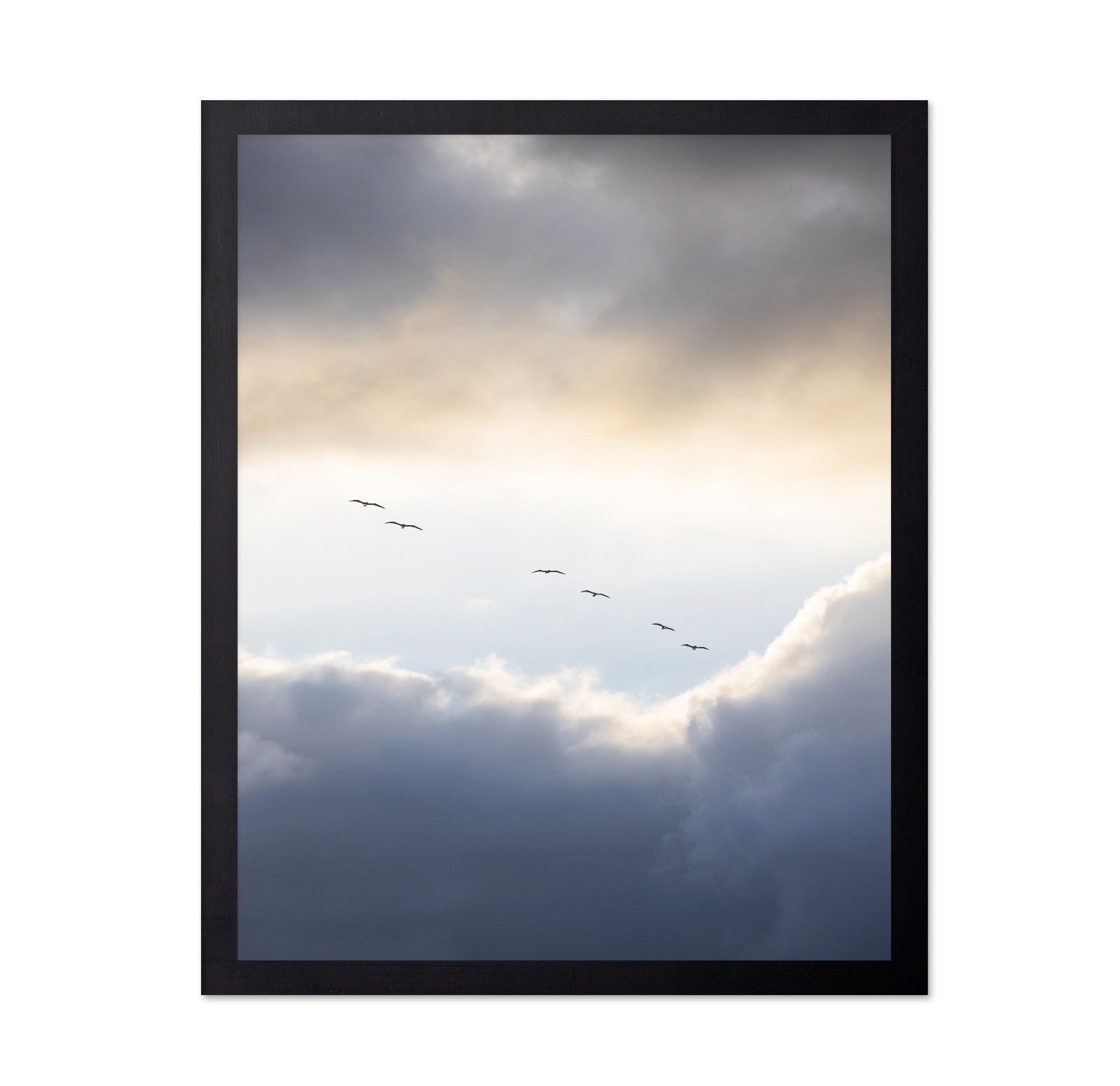 Birds in Cloudy Sky