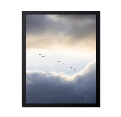 Birds in Cloudy Sky