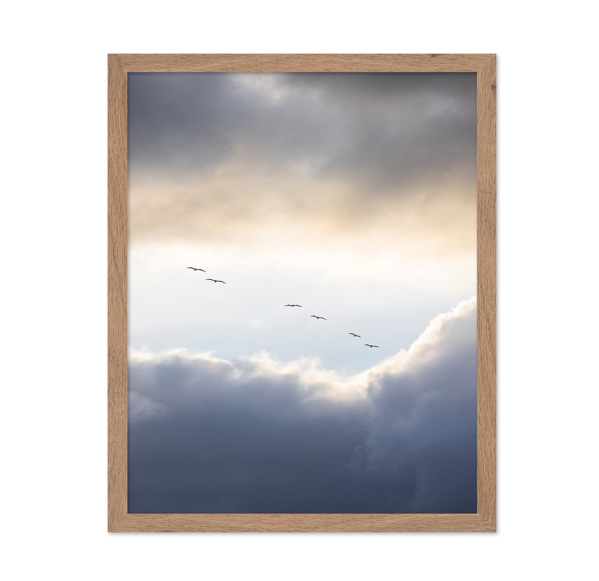 Birds in Cloudy Sky
