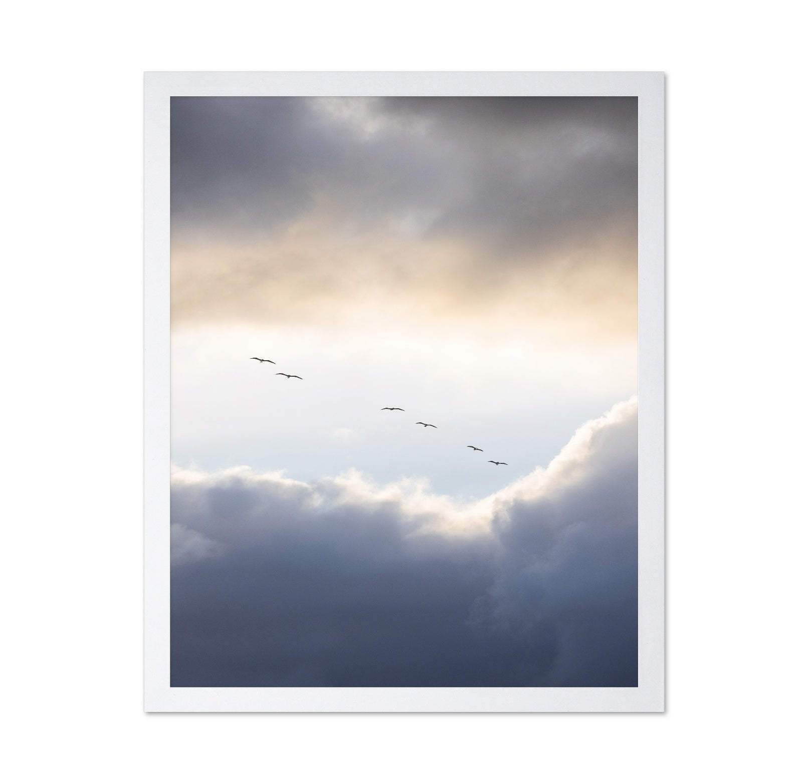 Birds in Cloudy Sky