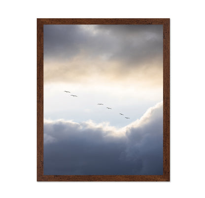 Birds in Cloudy Sky