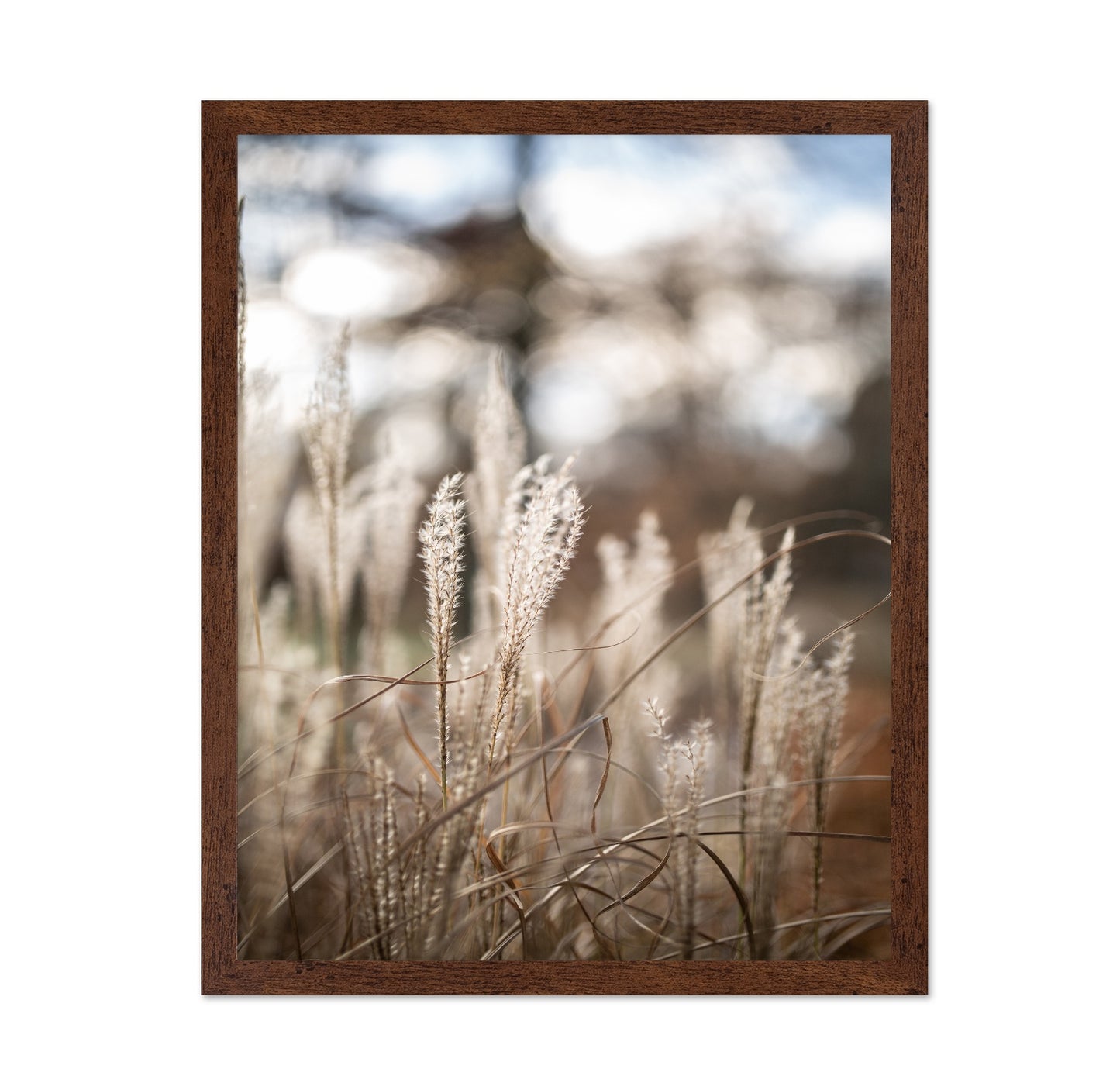 Soft Wild Grass No1