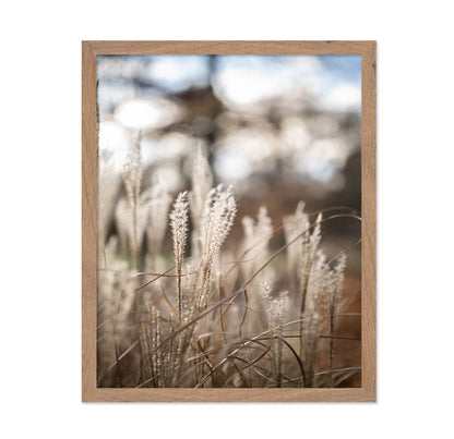 Soft Wild Grass No1