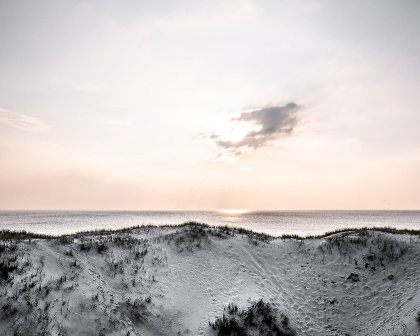 Serene Coastal Dunes Sunset
