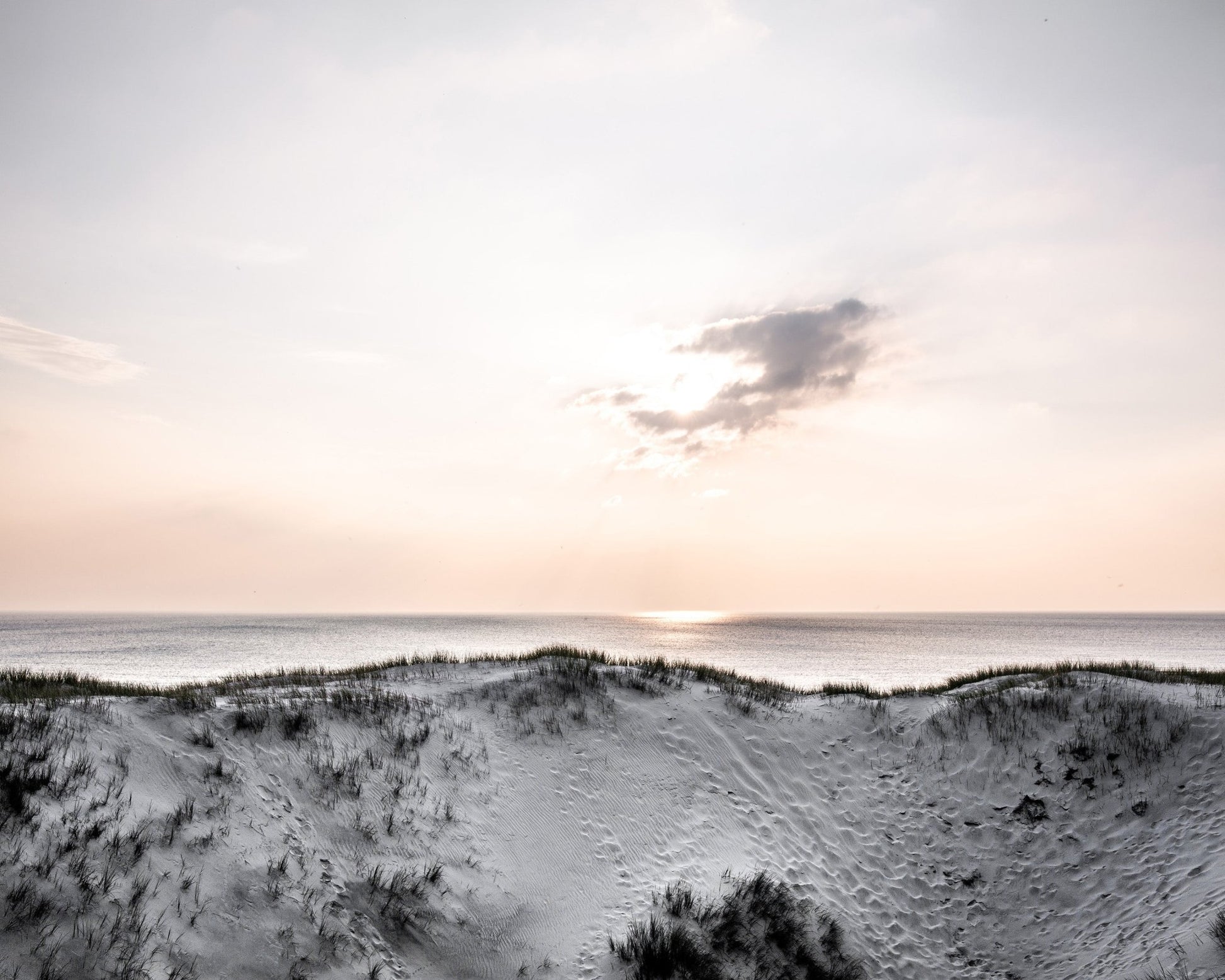Serene Coastal Dunes Sunset