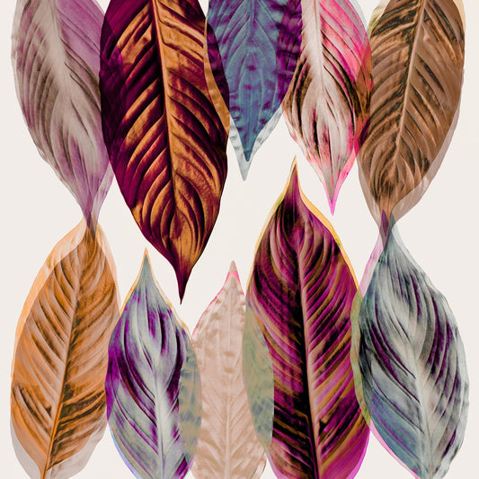 Colorful Leaf Pattern No1