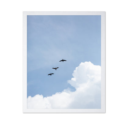 Birds In Blue Sky