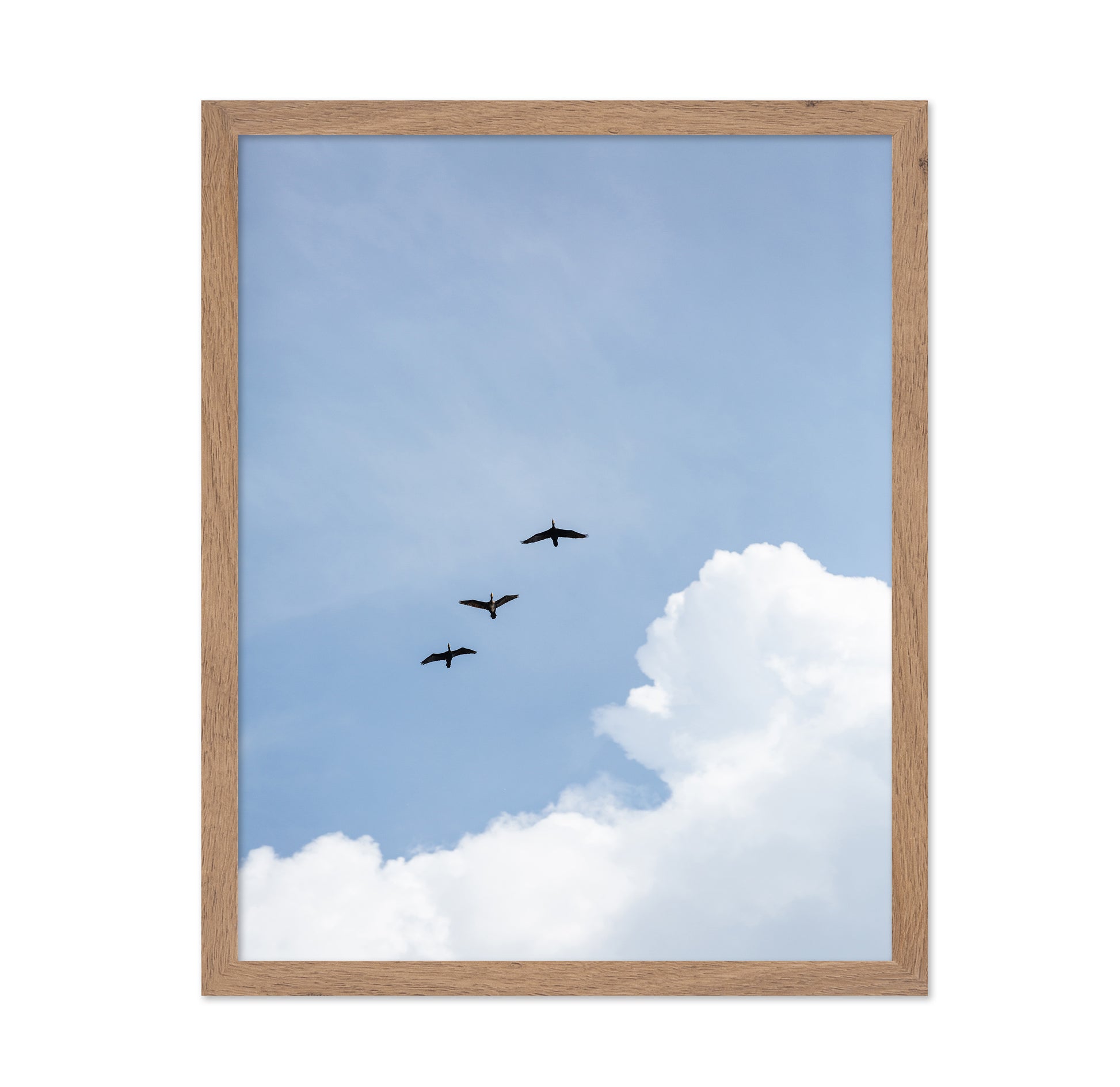 Birds In Blue Sky