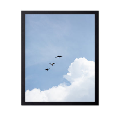Birds In Blue Sky