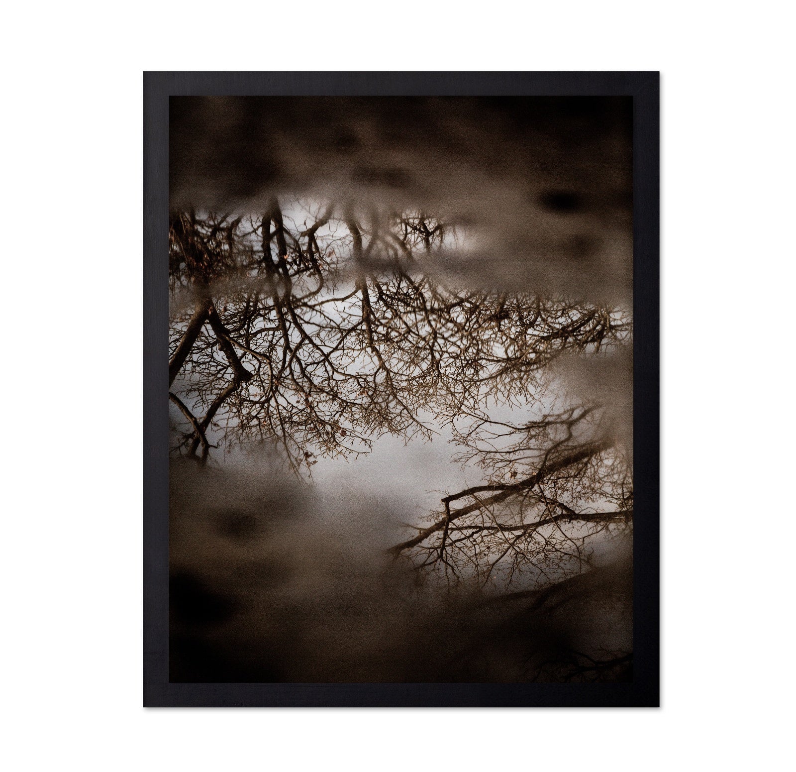 Winter Tree Reflection