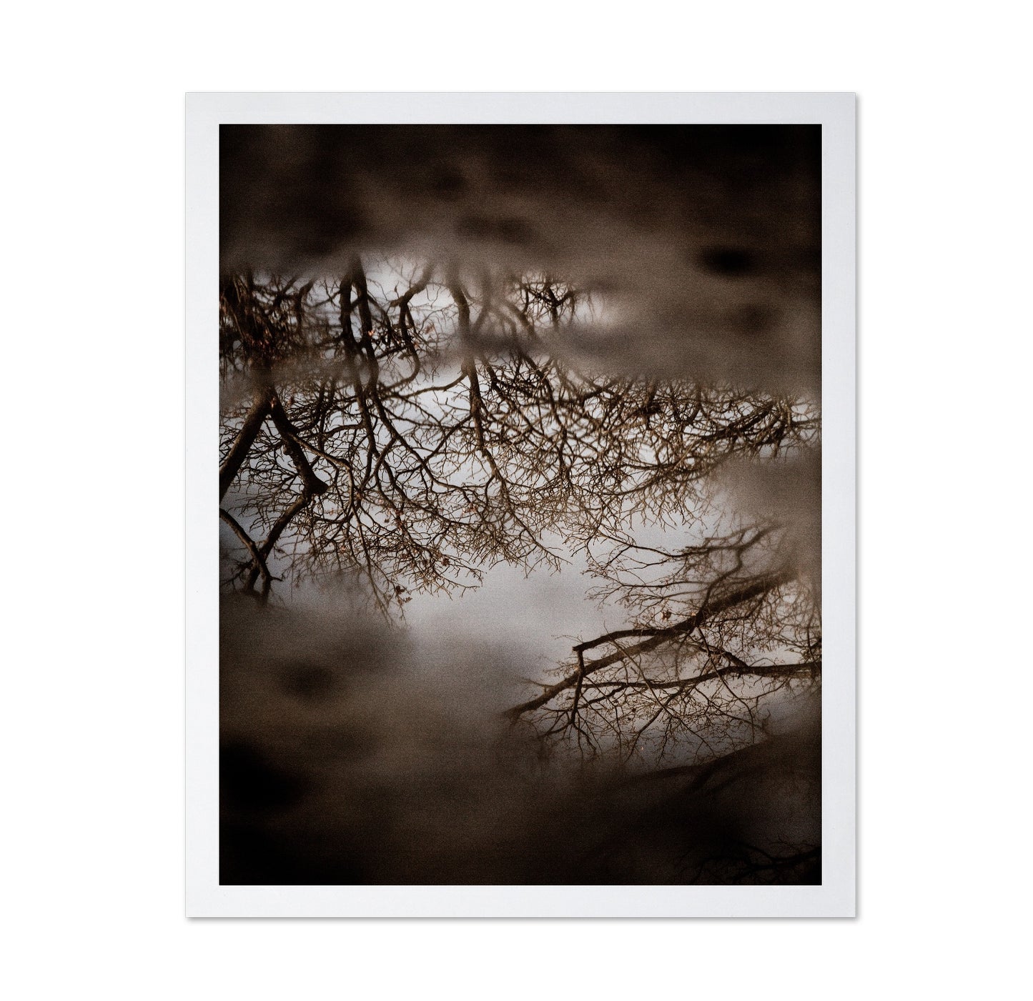 Winter Tree Reflection