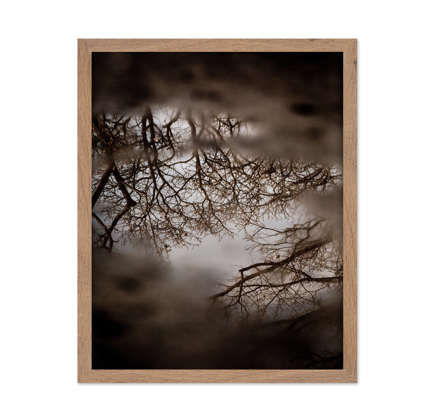 Winter Tree Reflection