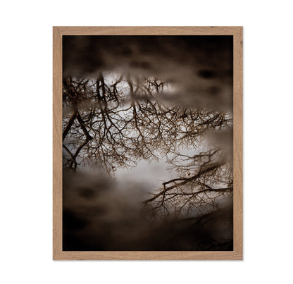 Winter Tree Reflection