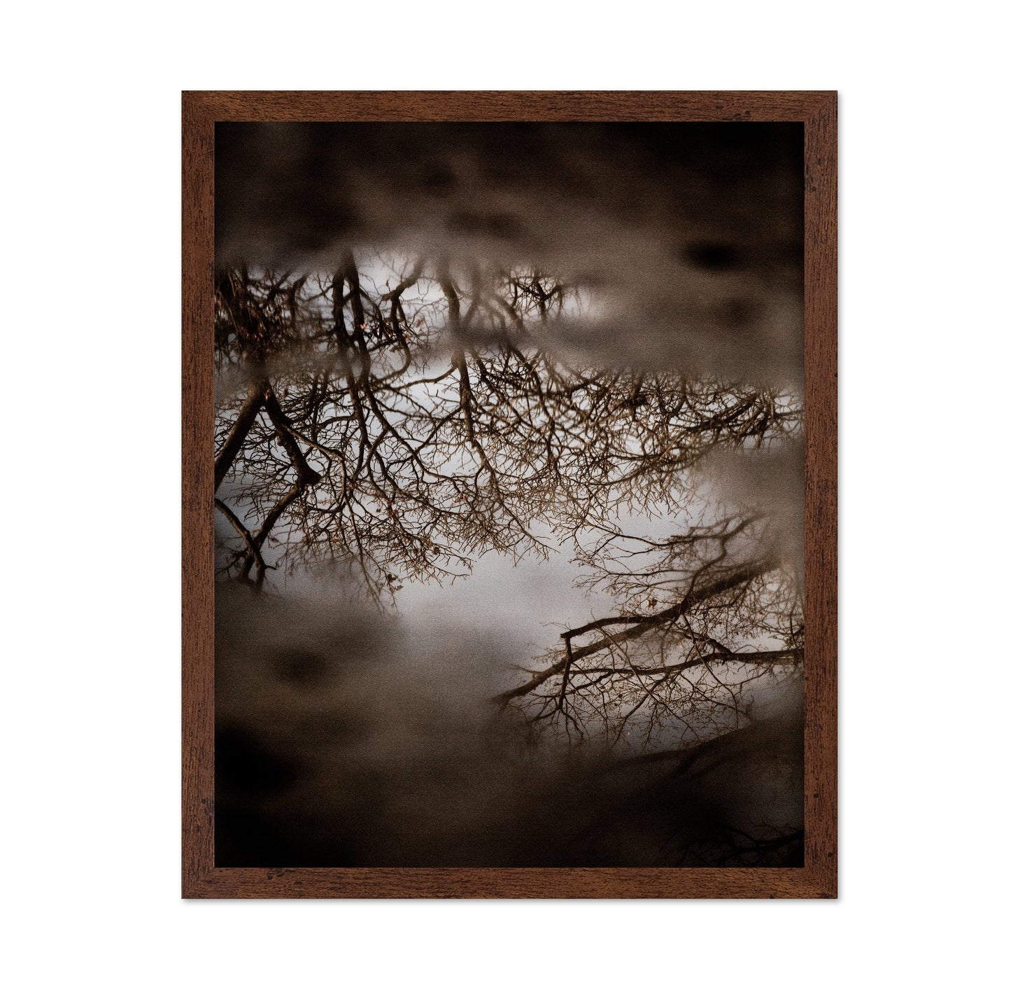 Winter Tree Reflection