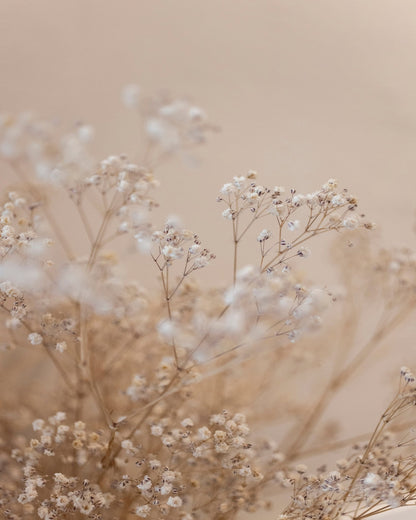 Soft Baby Flowers